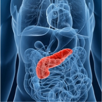 laboratory diagnosis